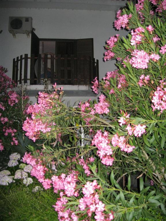 Casa Morgado Hotel Almeida Ngoại thất bức ảnh